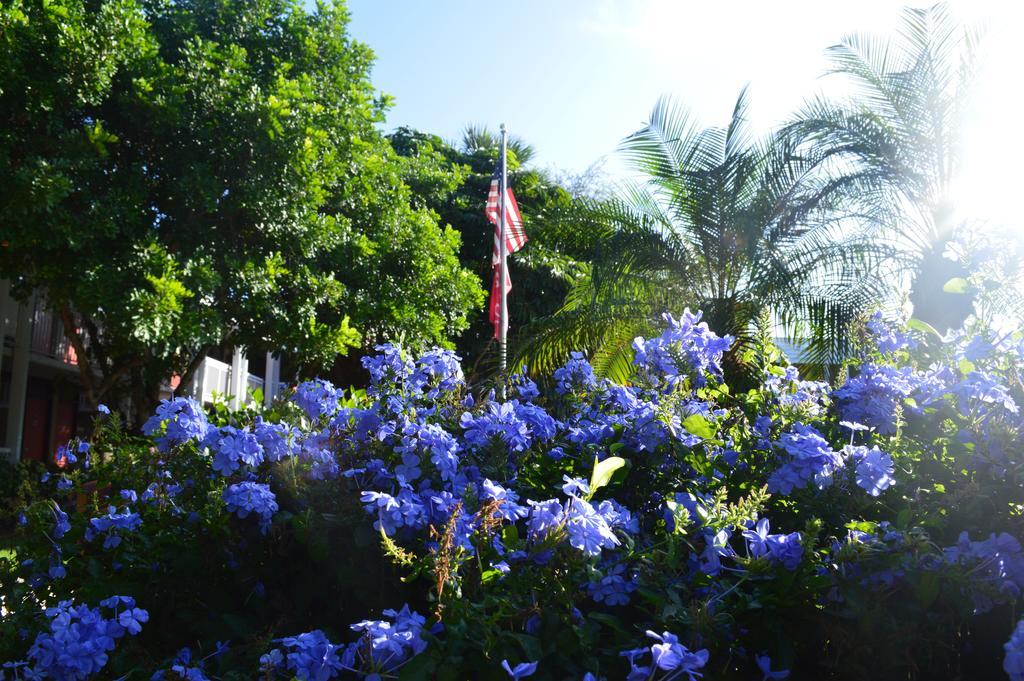 Collins Hotel North Naples Dış mekan fotoğraf